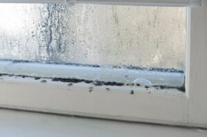 Do You Have Mold Growing in Your Older Windows? Learn How to Safely Clean It 